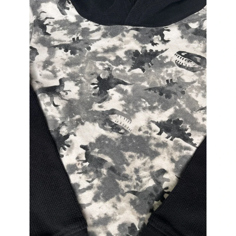 Boy's Size 4T Dinosaur Graphic Hoodie Top Skater The Children's Place